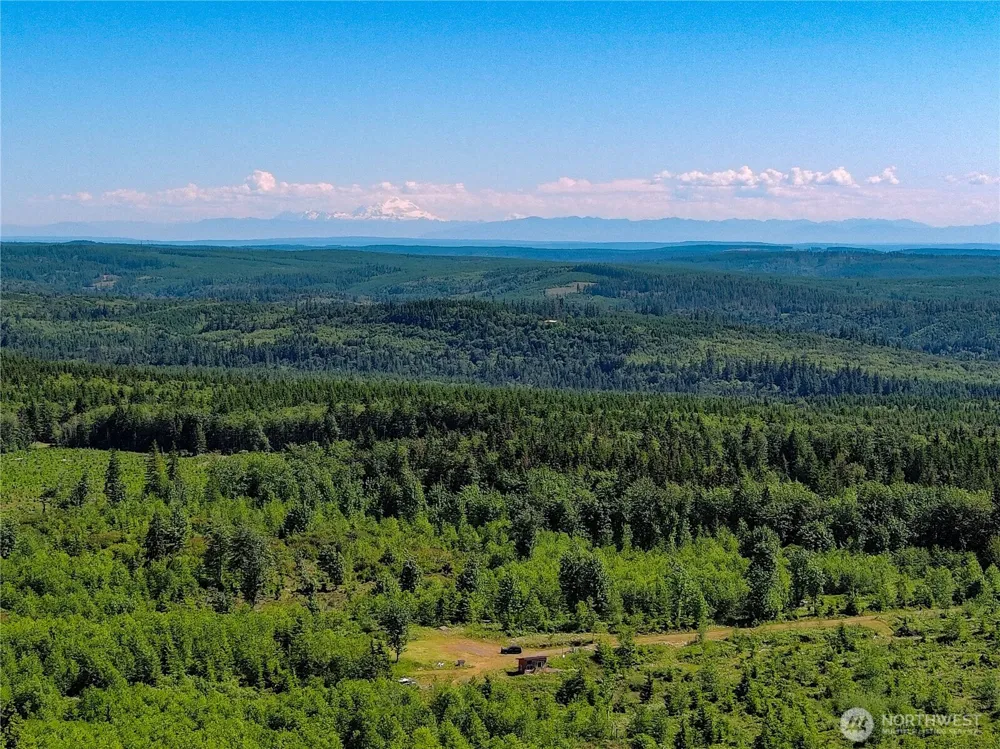 2904 Wildwood Drive Quilcene, WA 98376