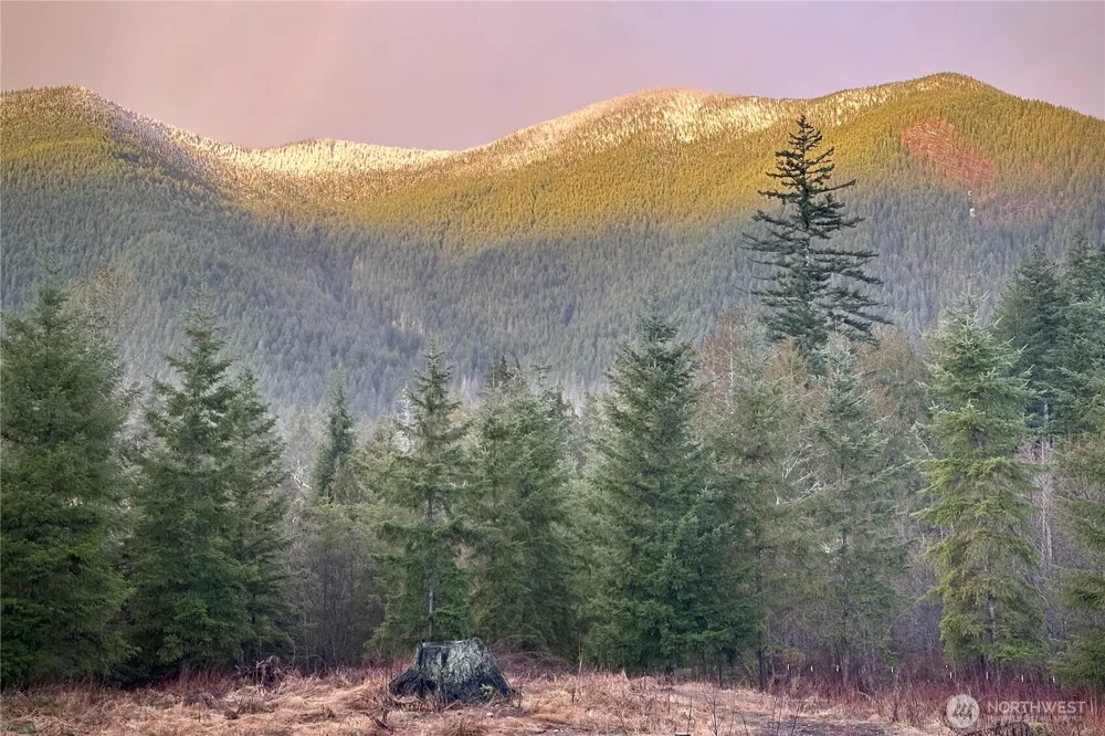 2904 Wildwood Drive Quilcene, WA 98376