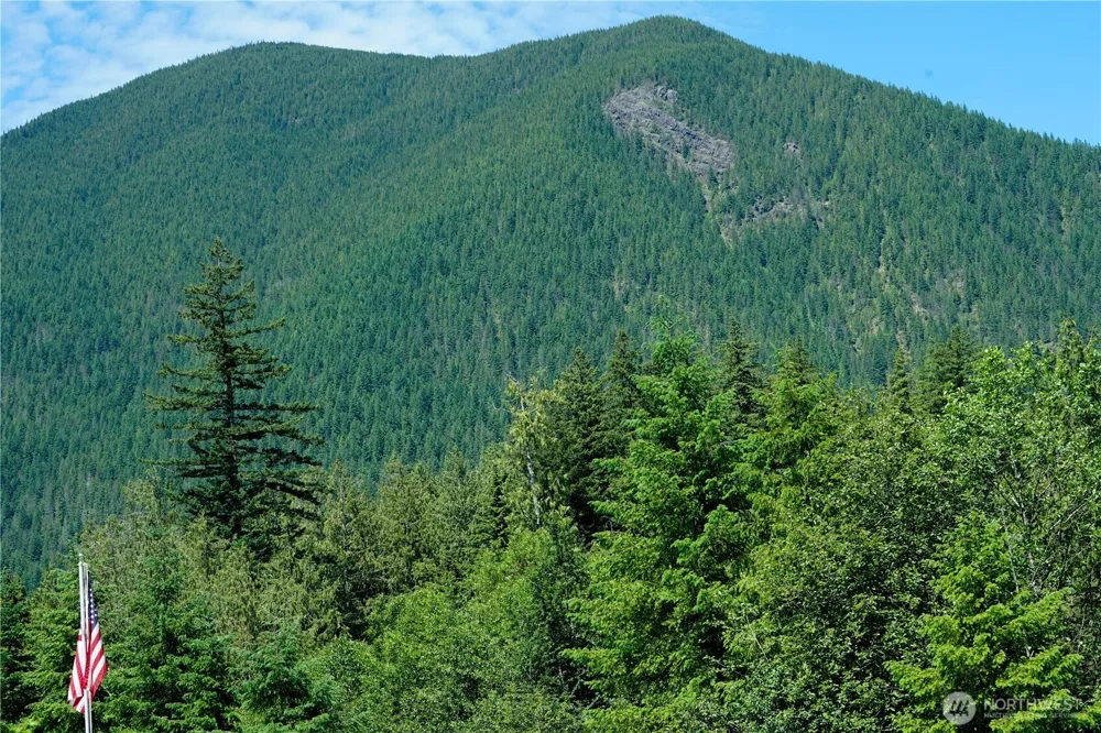 2904 Wildwood Drive Quilcene, WA 98376