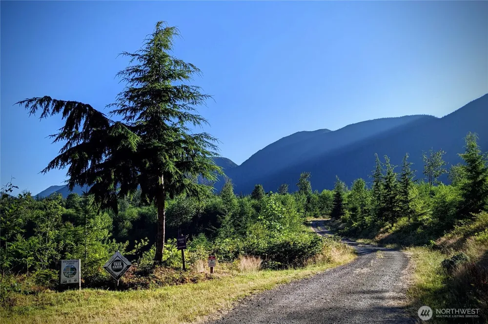 2904 Wildwood Drive Quilcene, WA 98376
