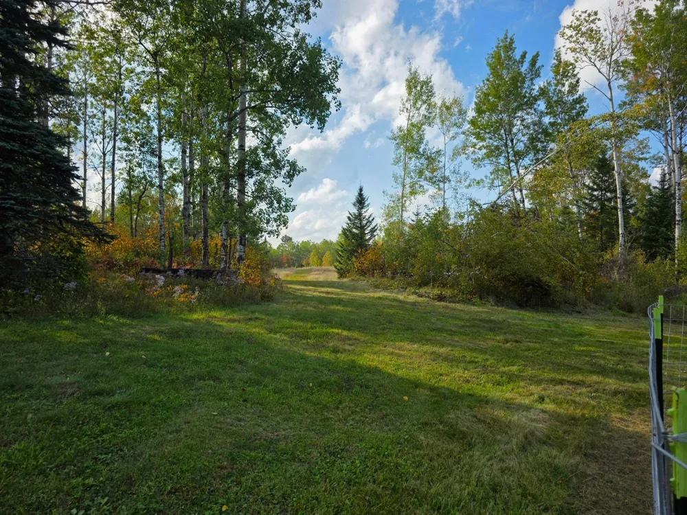6821 Barrett Road Chisholm, MN 55719