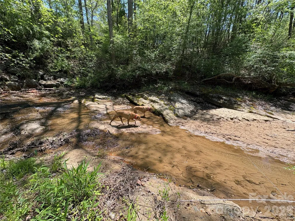 06 Hopewell Church Road #6 Hiddenite, NC 28636