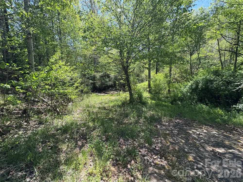 06 Hopewell Church Road #6 Hiddenite, NC 28636