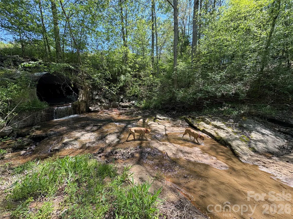 06 Hopewell Church Road #6 Hiddenite, NC 28636