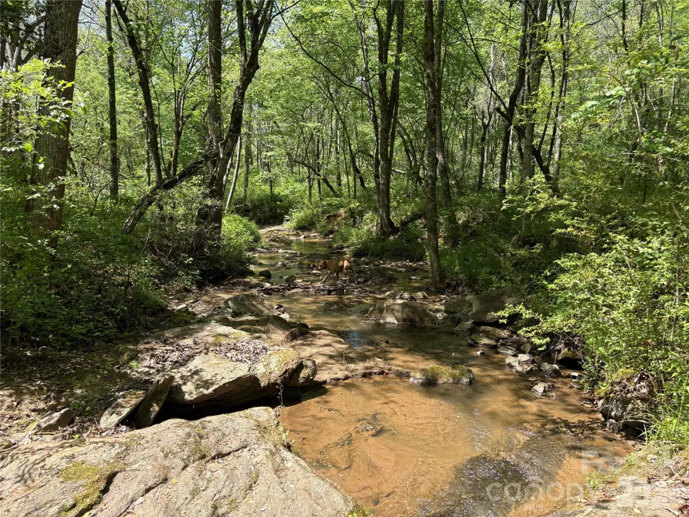 06 Hopewell Church Road #6 Hiddenite, NC 28636