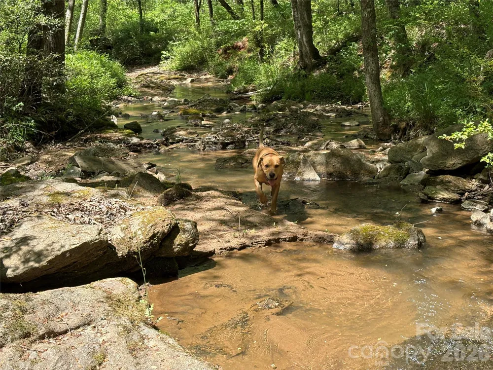 06 Hopewell Church Road #6 Hiddenite, NC 28636