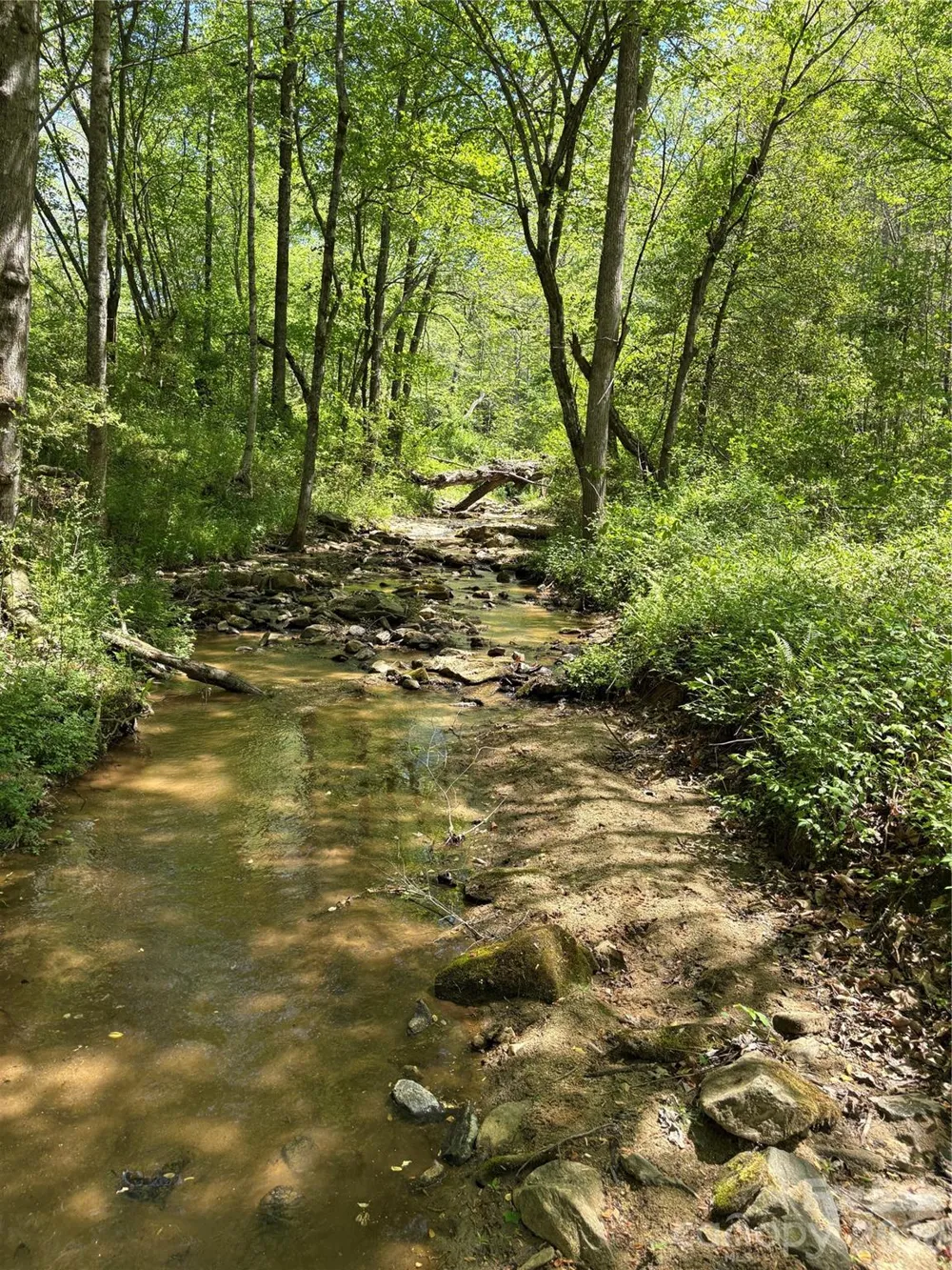 06 Hopewell Church Road #6 Hiddenite, NC 28636