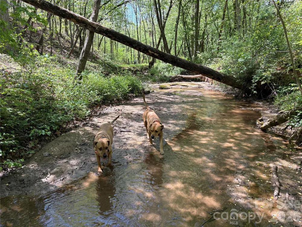 06 Hopewell Church Road #6 Hiddenite, NC 28636