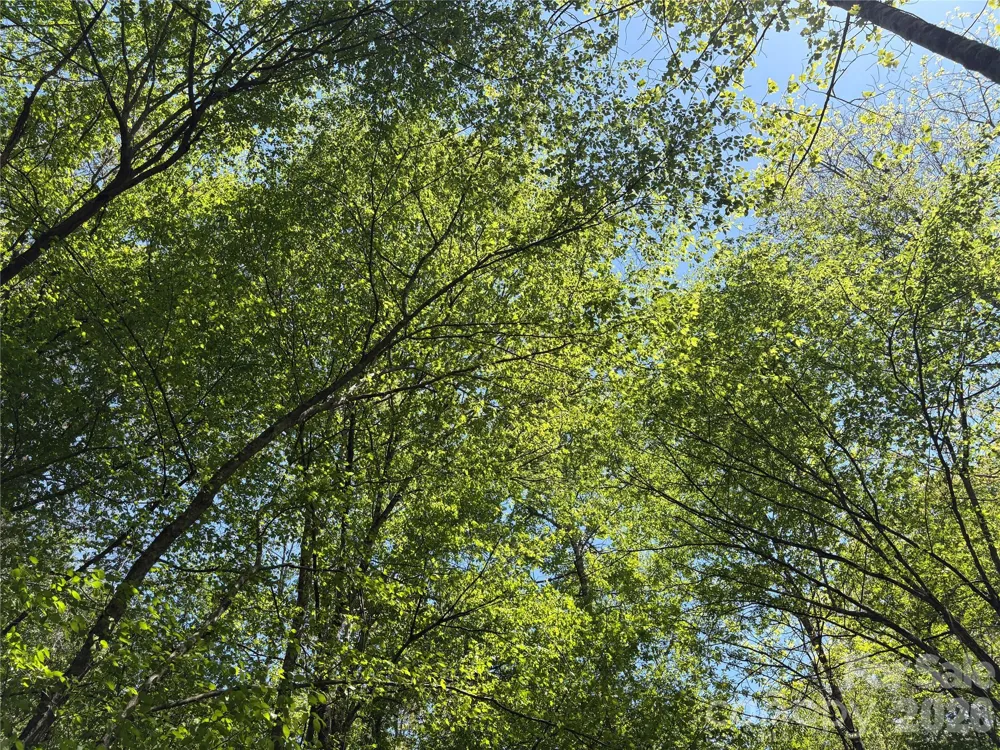 06 Hopewell Church Road #6 Hiddenite, NC 28636