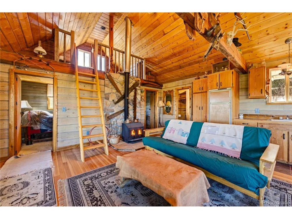 2126 E Path Cotopaxi, CO 81223