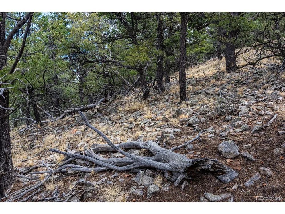 2126 E Path Cotopaxi, CO 81223