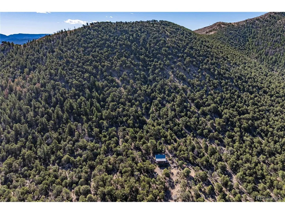 2126 E Path Cotopaxi, CO 81223