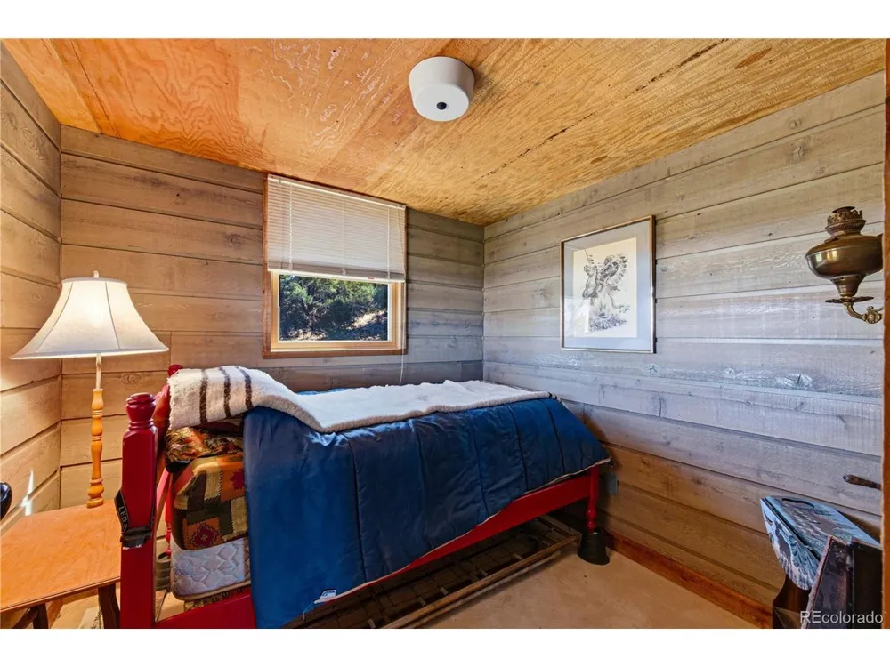 2126 E Path Cotopaxi, CO 81223
