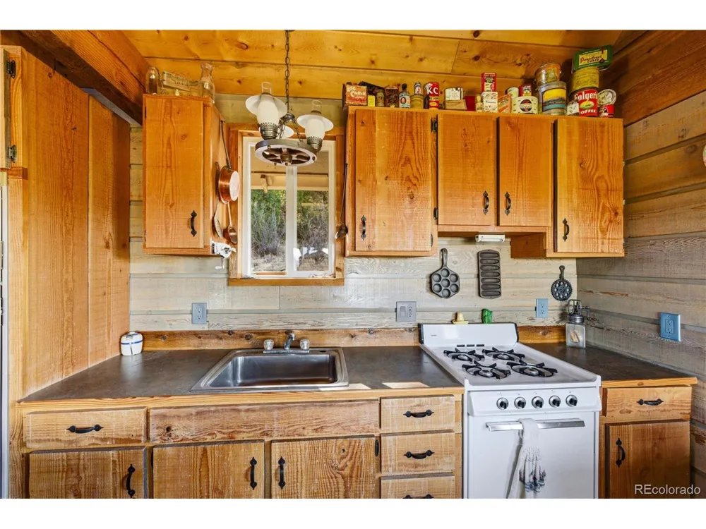 2126 E Path Cotopaxi, CO 81223