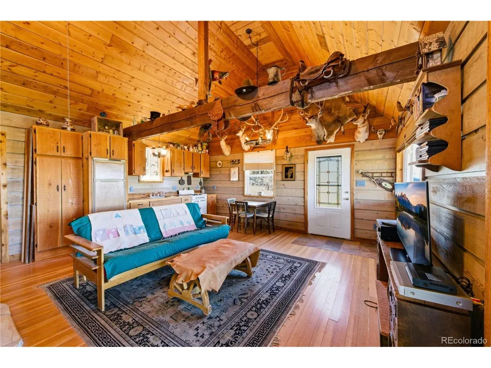 2126 E Path Cotopaxi, CO 81223