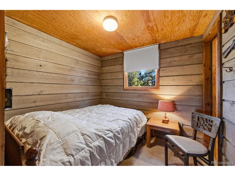 2126 E Path Cotopaxi, CO 81223