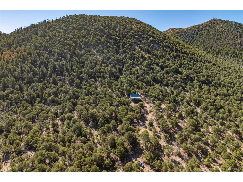 2126 E Path Cotopaxi, CO 81223