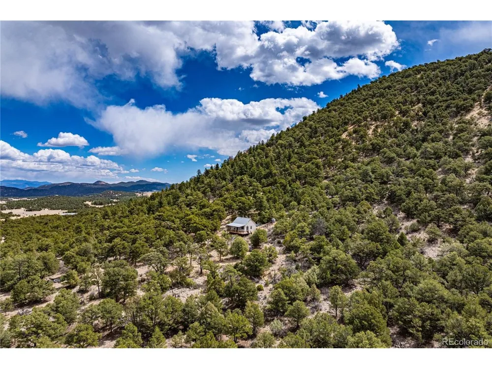 2126 E Path Cotopaxi, CO 81223