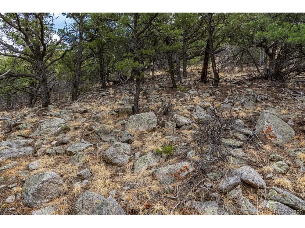 2126 E Path Cotopaxi, CO 81223