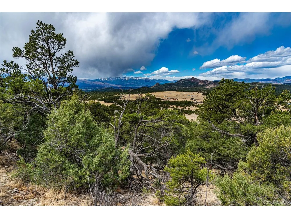 2126 E Path Cotopaxi, CO 81223