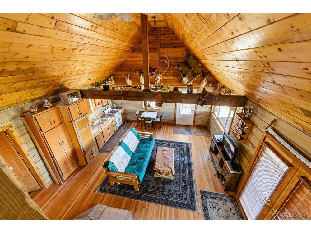 2126 E Path Cotopaxi, CO 81223
