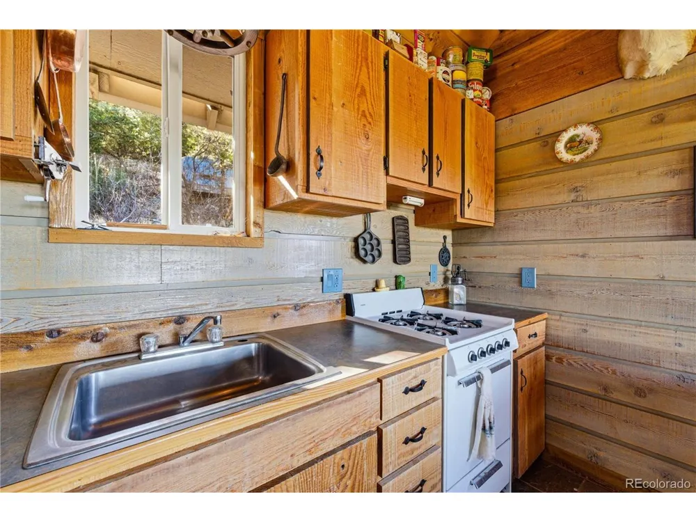 2126 E Path Cotopaxi, CO 81223