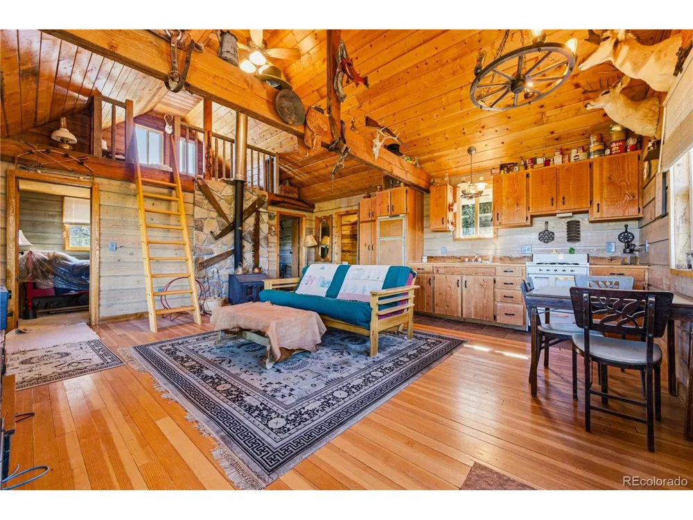 2126 E Path Cotopaxi, CO 81223