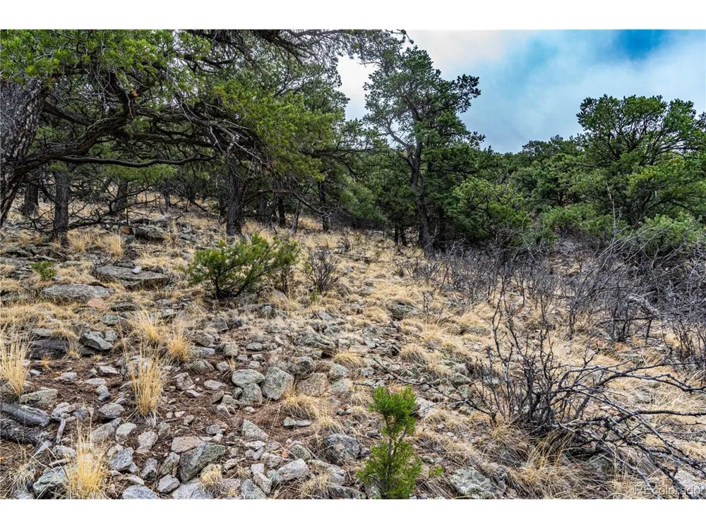 2126 E Path Cotopaxi, CO 81223