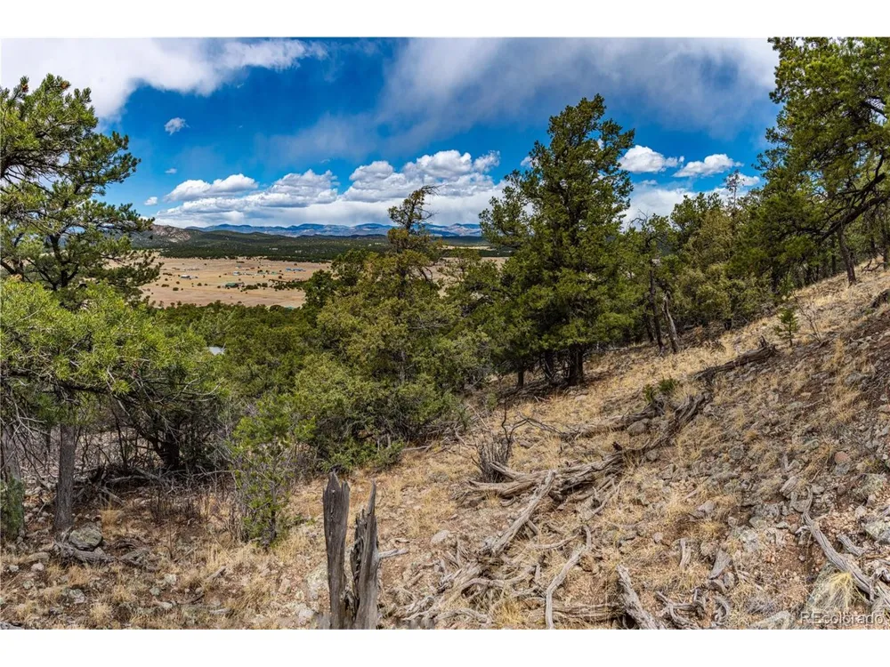 2126 E Path Cotopaxi, CO 81223