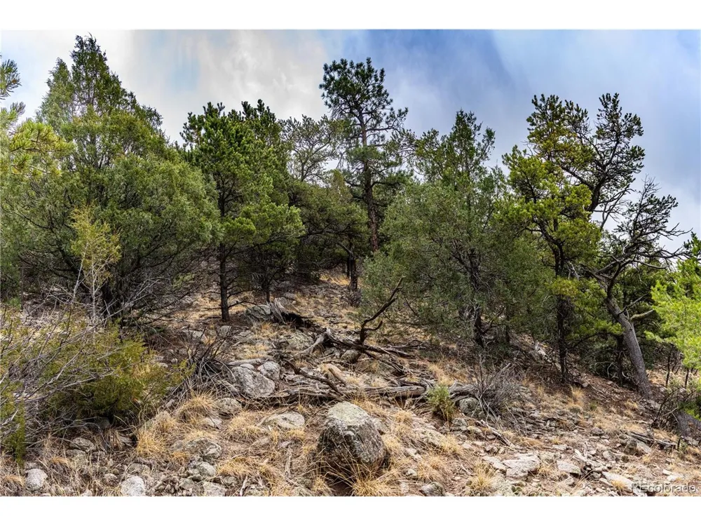 2126 E Path Cotopaxi, CO 81223