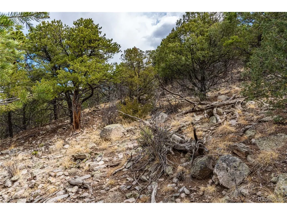 2126 E Path Cotopaxi, CO 81223