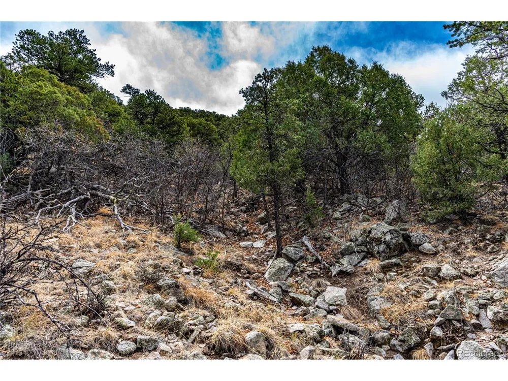 2126 E Path Cotopaxi, CO 81223