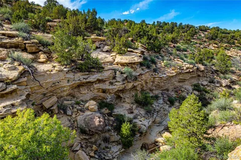 TBD L Bandito Trail