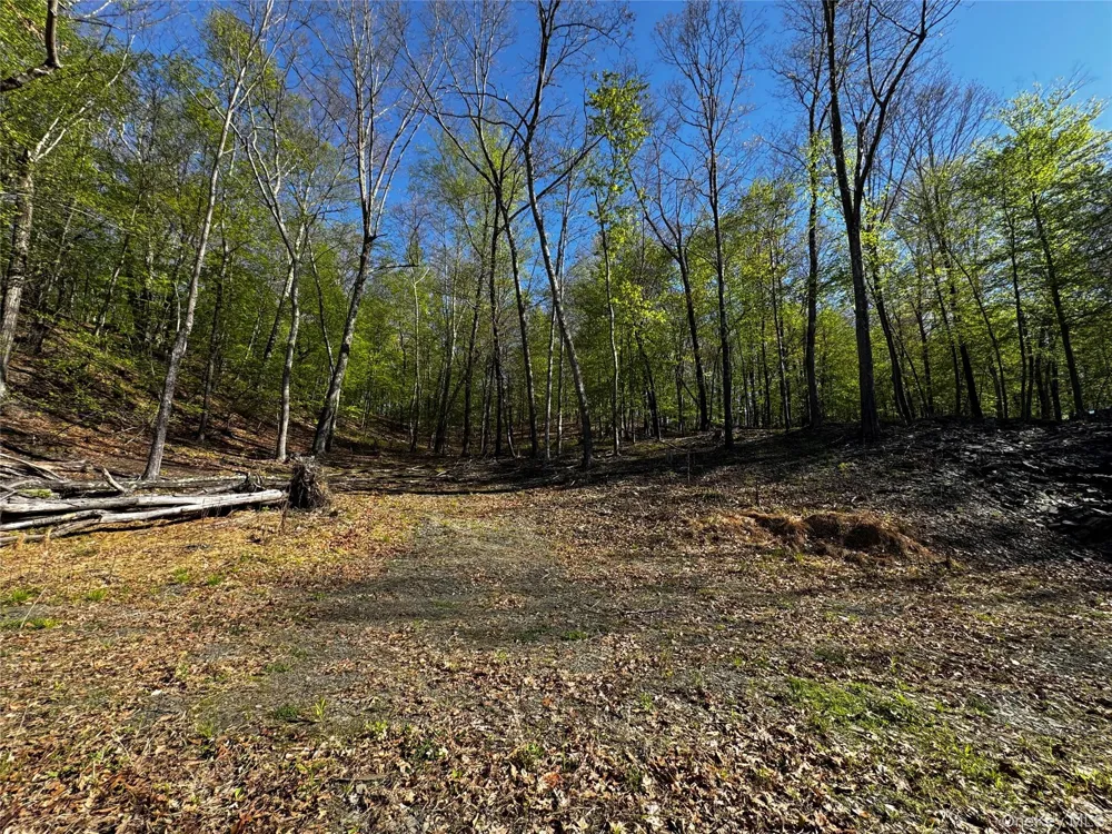 Hall Hill Road Ancram, NY 12502