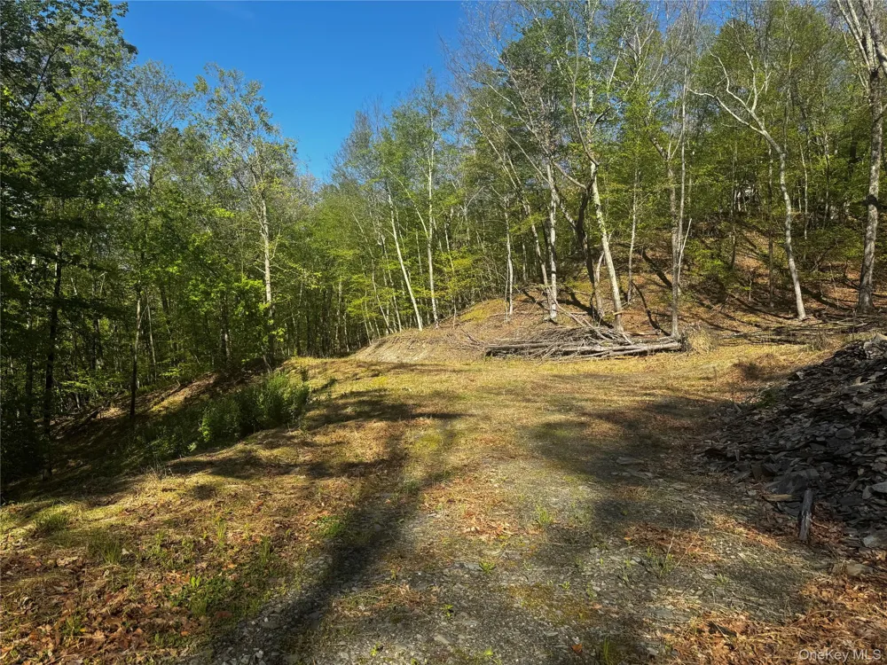 Hall Hill Road Ancram, NY 12502