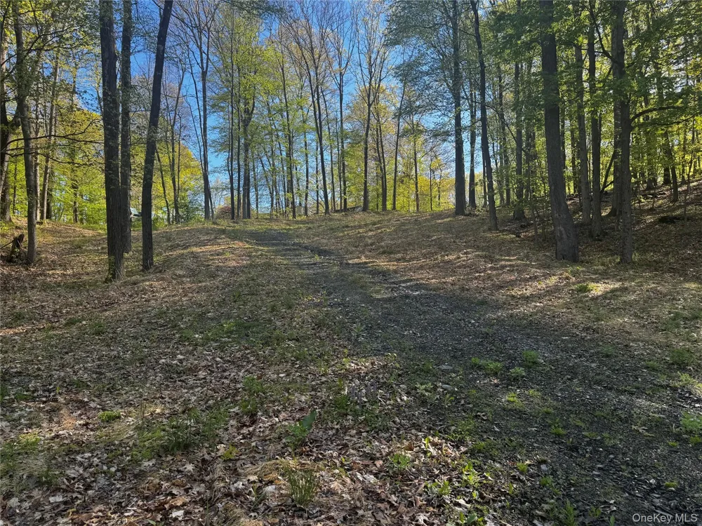 Hall Hill Road Ancram, NY 12502