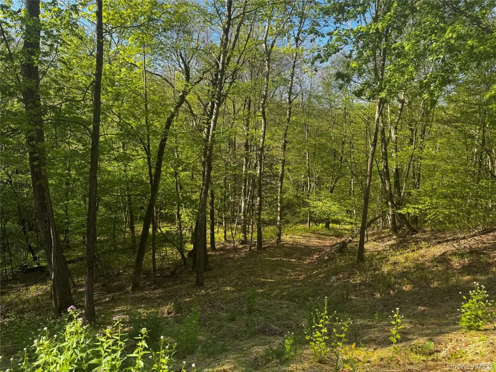 Hall Hill Road Ancram, NY 12502