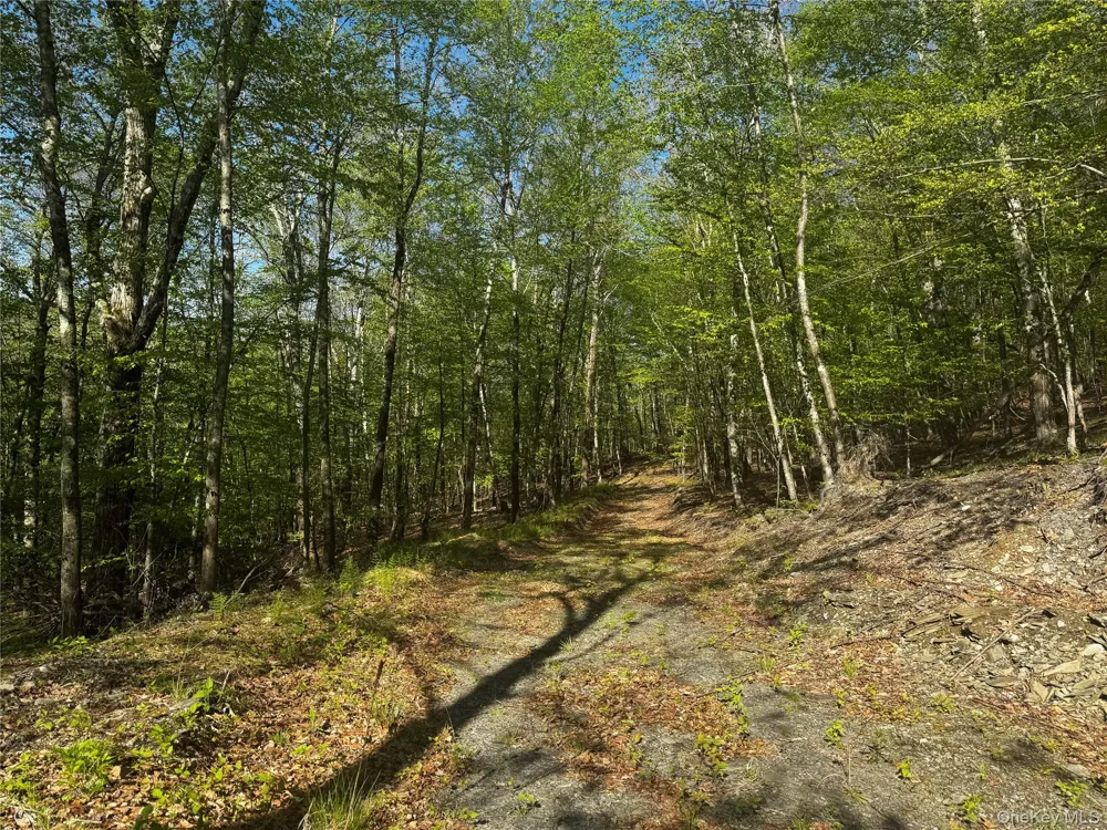 Hall Hill Road Ancram, NY 12502