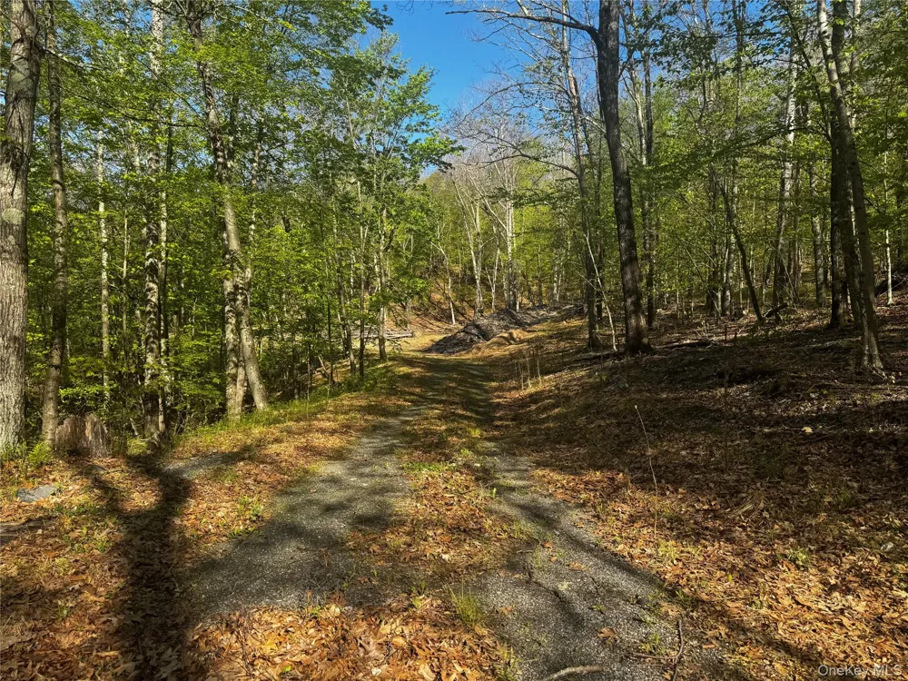 Hall Hill Road Ancram, NY 12502