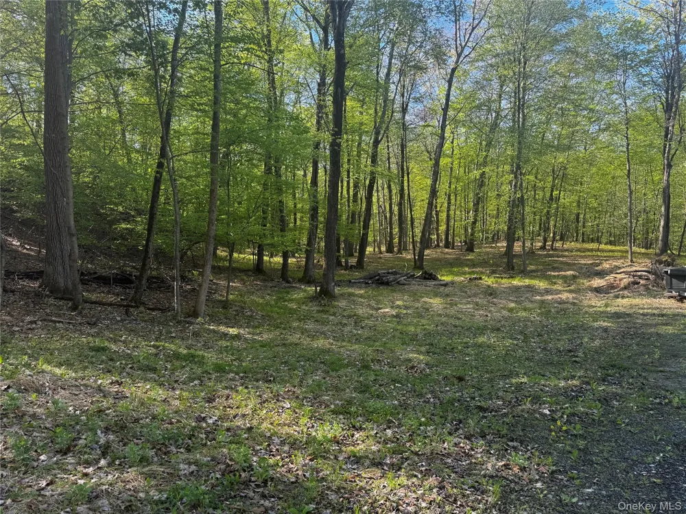 Hall Hill Road Ancram, NY 12502