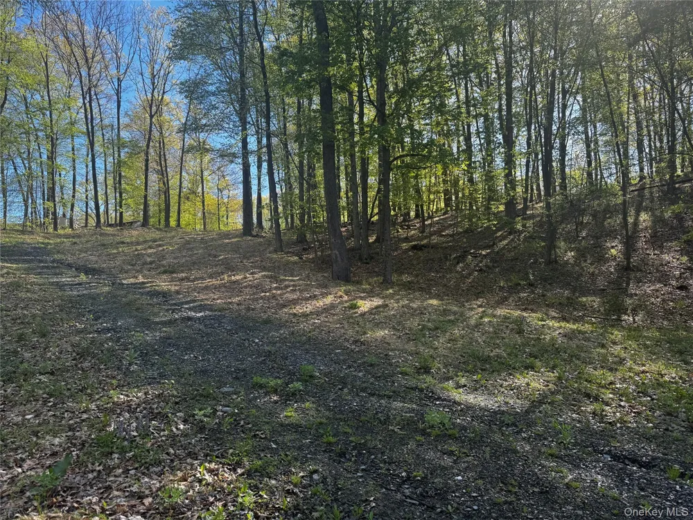 Hall Hill Road Ancram, NY 12502
