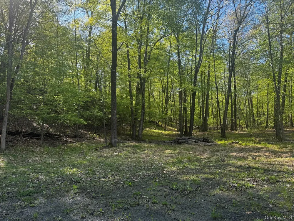 Hall Hill Road Ancram, NY 12502