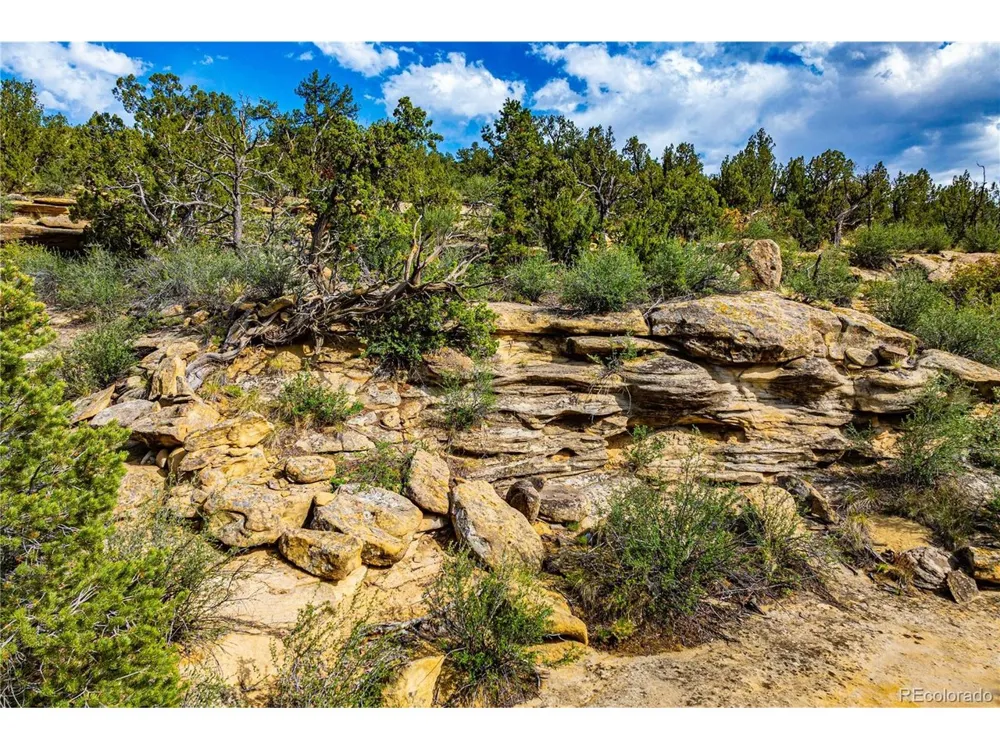 Bandito Trail Florence, CO 81226