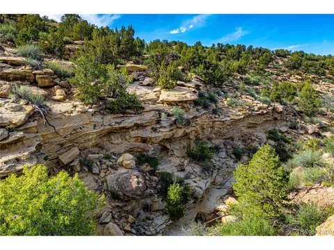 Bandito Trail