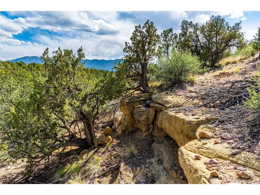 Bandito Trail Florence, CO 81226