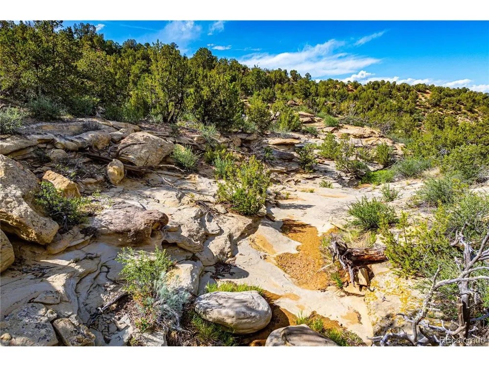 Bandito Trail Florence, CO 81226
