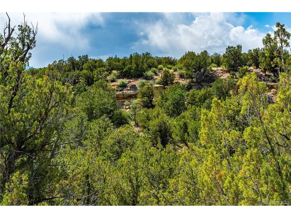 Bandito Trail Florence, CO 81226