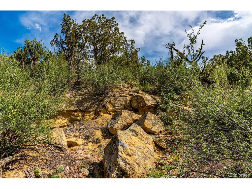 Bandito Trail Florence, CO 81226