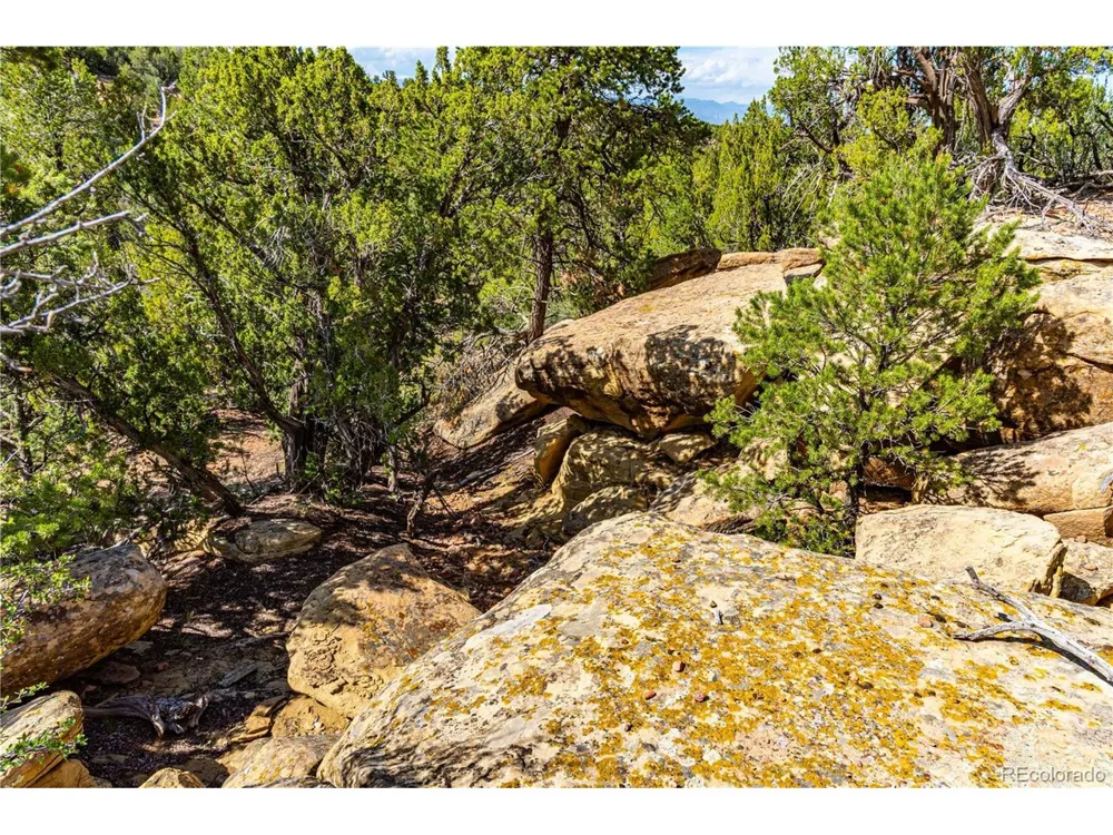 Bandito Trail Florence, CO 81226