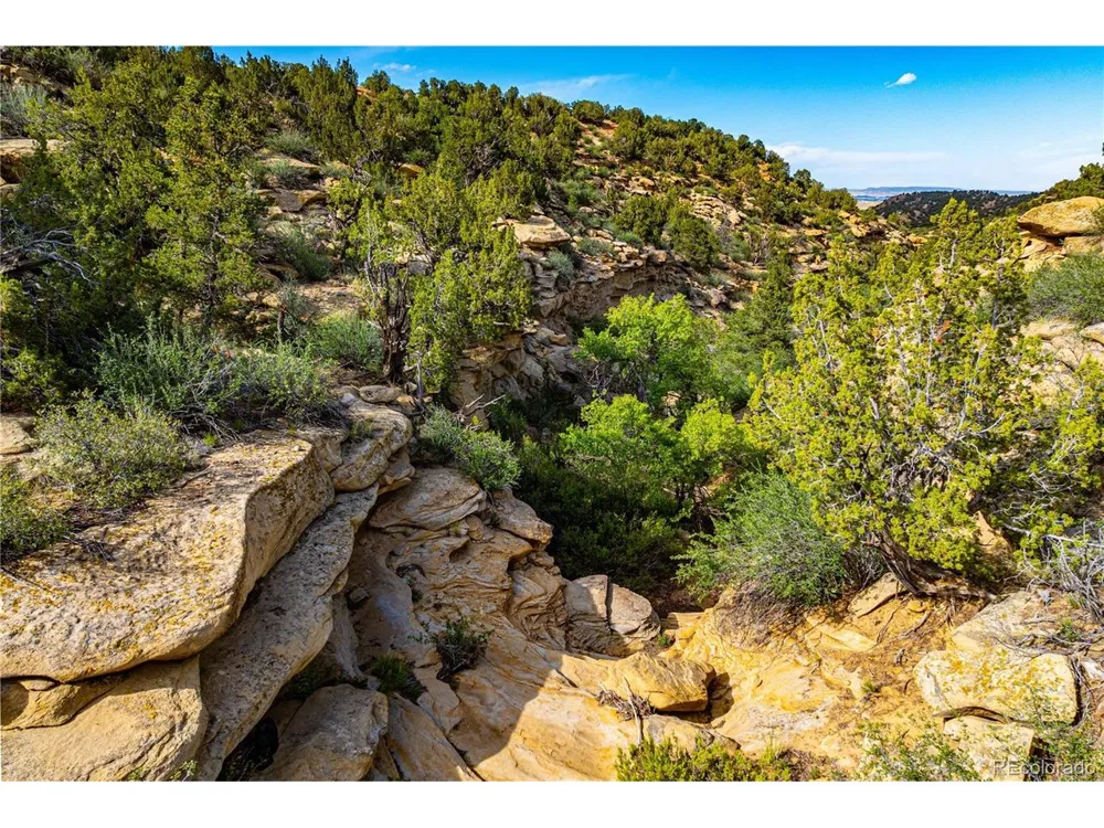 Bandito Trail Florence, CO 81226